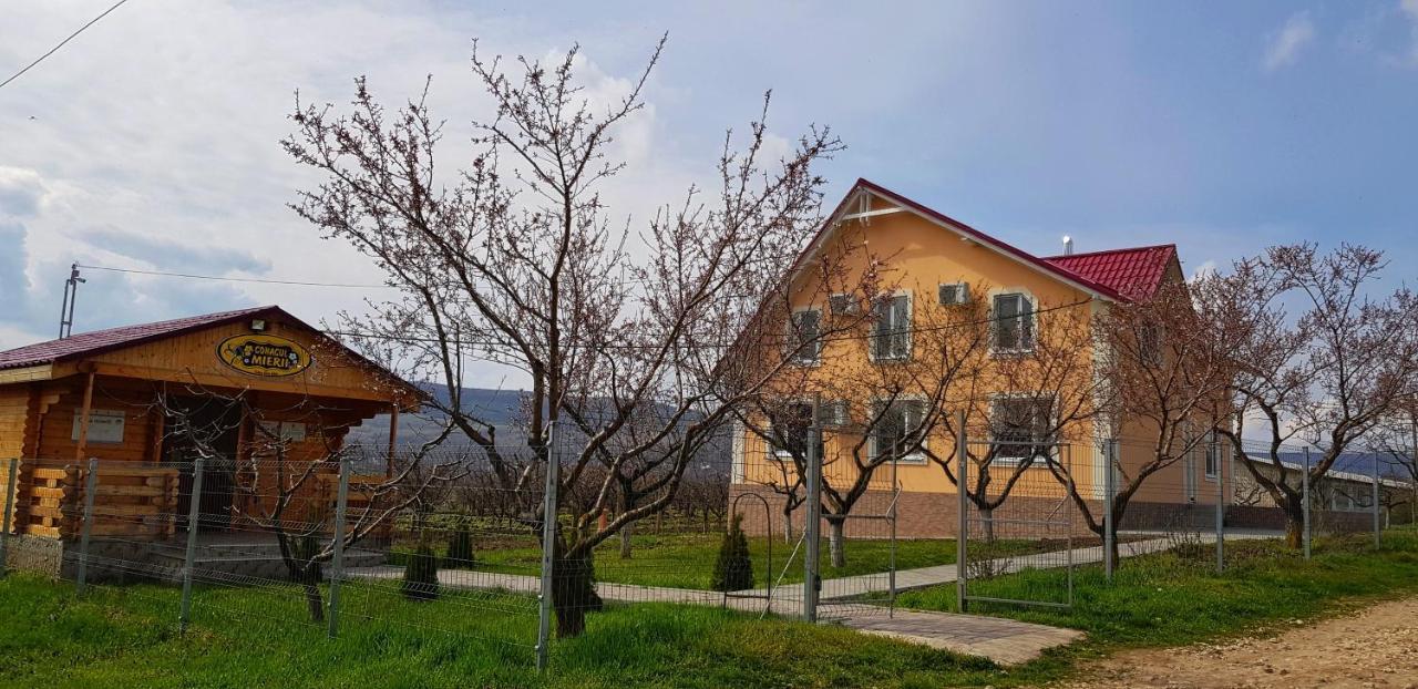 Conacul Mierii Villa Straseni Buitenkant foto