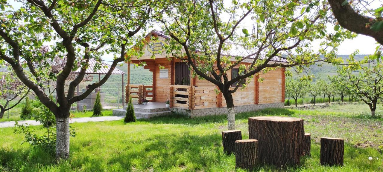 Conacul Mierii Villa Straseni Buitenkant foto